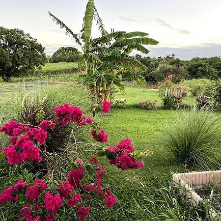 Jolie Petite Maison A La Campagne เลอ มูเล่ ภายนอก รูปภาพ